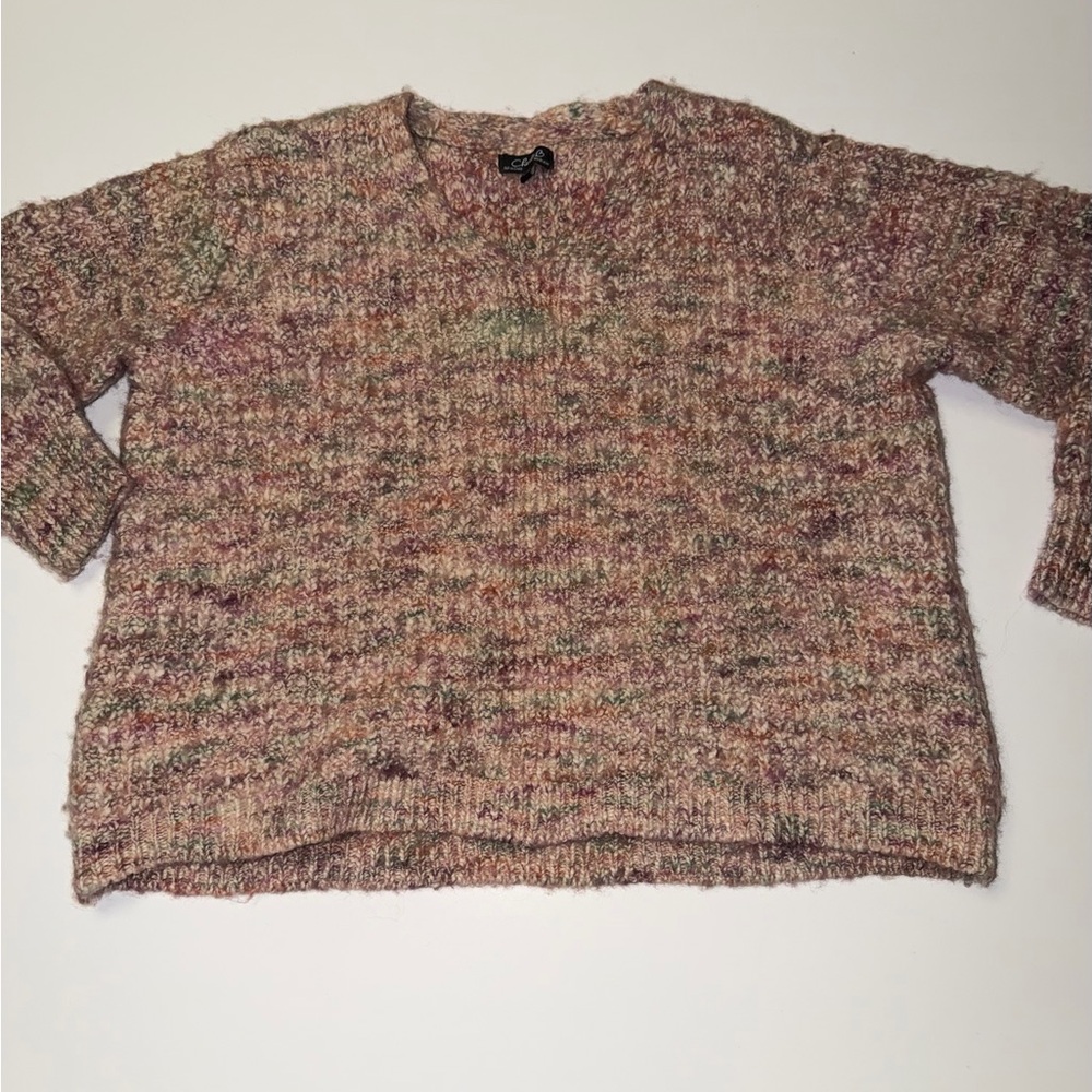 CHARLIE B Multicolor V-Neck Sweater